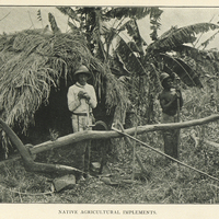 Native agricultural implements