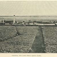 Central and cane field, Santa Clara