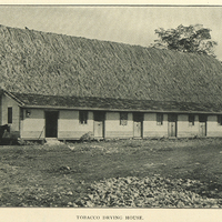 Tobacco drying house