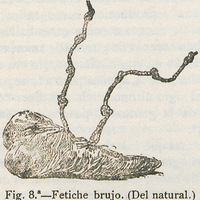 Fetiche brujo (del natural)