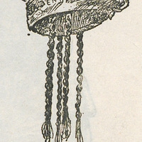 Gorro de un brujo con trenzas de cabellos humanos (de un apunte natural)