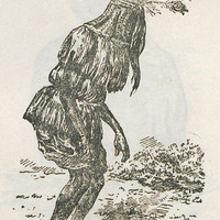 Tipo de diablito - Fig. 15