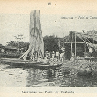 Amazonas - paiol de Castanha
