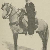 [Cavalier algérien]