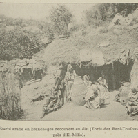 Gourbi arabe en branchages recouvert en dis. (Forêt des Beni-Toufout, près d'El-Milia).