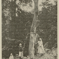 Récolte du chêne-liège. Forêt des Beni-Toafout, près d'El-Milia.