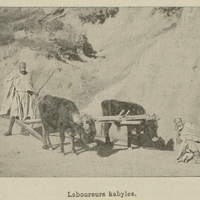 Laboureurs kabyles.