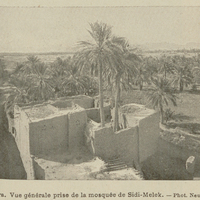 Biskra. Vue générale prise de la mosquée de Sidi-Melek.