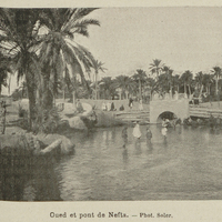 Oued et pont de Nefta.