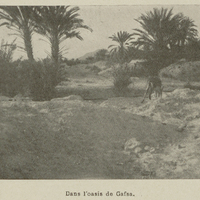 Dans l'oasis de Gafsa.