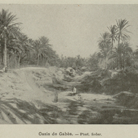Oasis de Gabès.