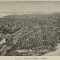 Oasis dite « Corbeille de Nefta ».