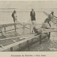 Pêcheries de Bizerte.