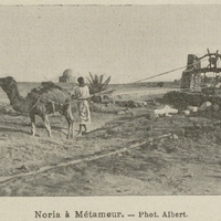 Noria à Métameur.
