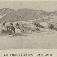 Les dunes de Biskra.