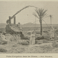 Puits d'irrigation dans les Zibans.