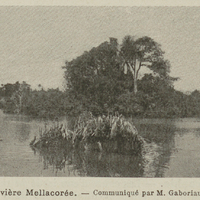 Rivière Mellacorée.
