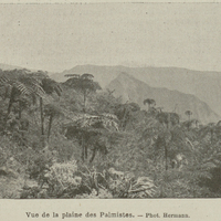 Vue de la plaine des Palmistes.