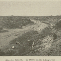 Côte des Somalis. — Le désert. (Société de Géographie.)