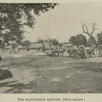 Une exploitation agricole. (Office colonial)