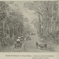 Route de Kampot à Pnom-Penh.