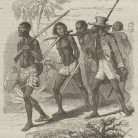 La marche à la côte.