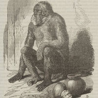 C'était un énorme singe accroupi à gauche dans un coin de l'estrade.