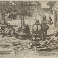 Ecce tibi ramum nigra quem nox suavibus ornat Exuit ornatum floribus alma dies - Een boom welcke in…