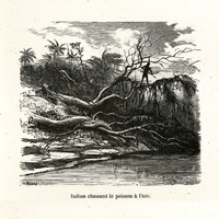 Indien chassant le poisson à l'arc