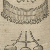 Le fruict appelé Higuero de Clusius.