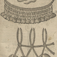 Ahouay de Thevet tiré de Clusius.