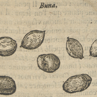 Buna.