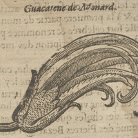 Guacatene de Monard.