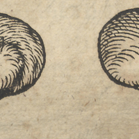 Commanda-miri