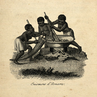Cuiseuses d'aouara