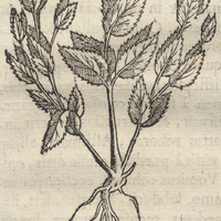 Tocpatli