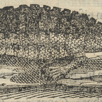 Aquetzpalin