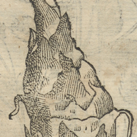POCAYO.
