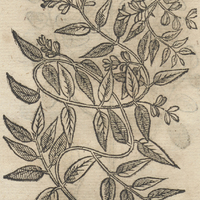 QVAVCZICTLI.