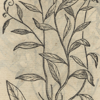TLALHVAPATLI.