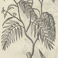 TLALHOAXIN alia icon.