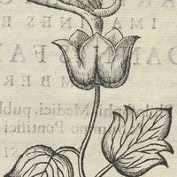 MACPALXOCMIQVAHVITL. Fol. 383.