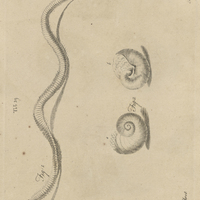 Tab. 39