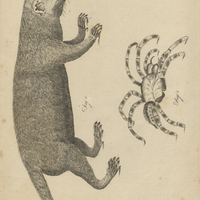 Tab. 49
