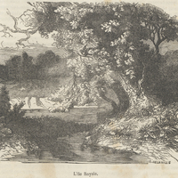 L'île Royale.