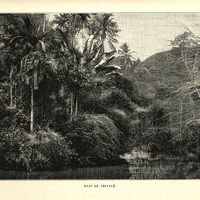 Dans le Chinalé