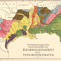 Verteilung der typischen Bodenqualitäten im BAUMWOLLENGEBIET DER VEREINIGTEN STAATEN.