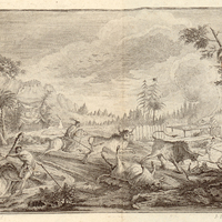 Chasse aux taureaux sauvages par les Akanças.
