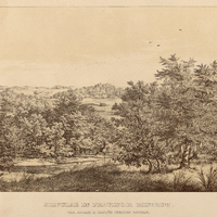 SILVULAE IN PROVINCIA Minas Gerais, CAA APOAM S. CAPOES INCOLIS DICTAE.