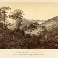SILVA IN MONTE CORCOVADO, PROPE CAPUT AQUAEDUCTUS PONTIS CARYOCA.